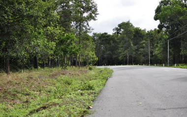 Phuoc Buu Nature Reserve